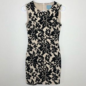 CeCe by Cynthia Steffe Velvet Detail Dress